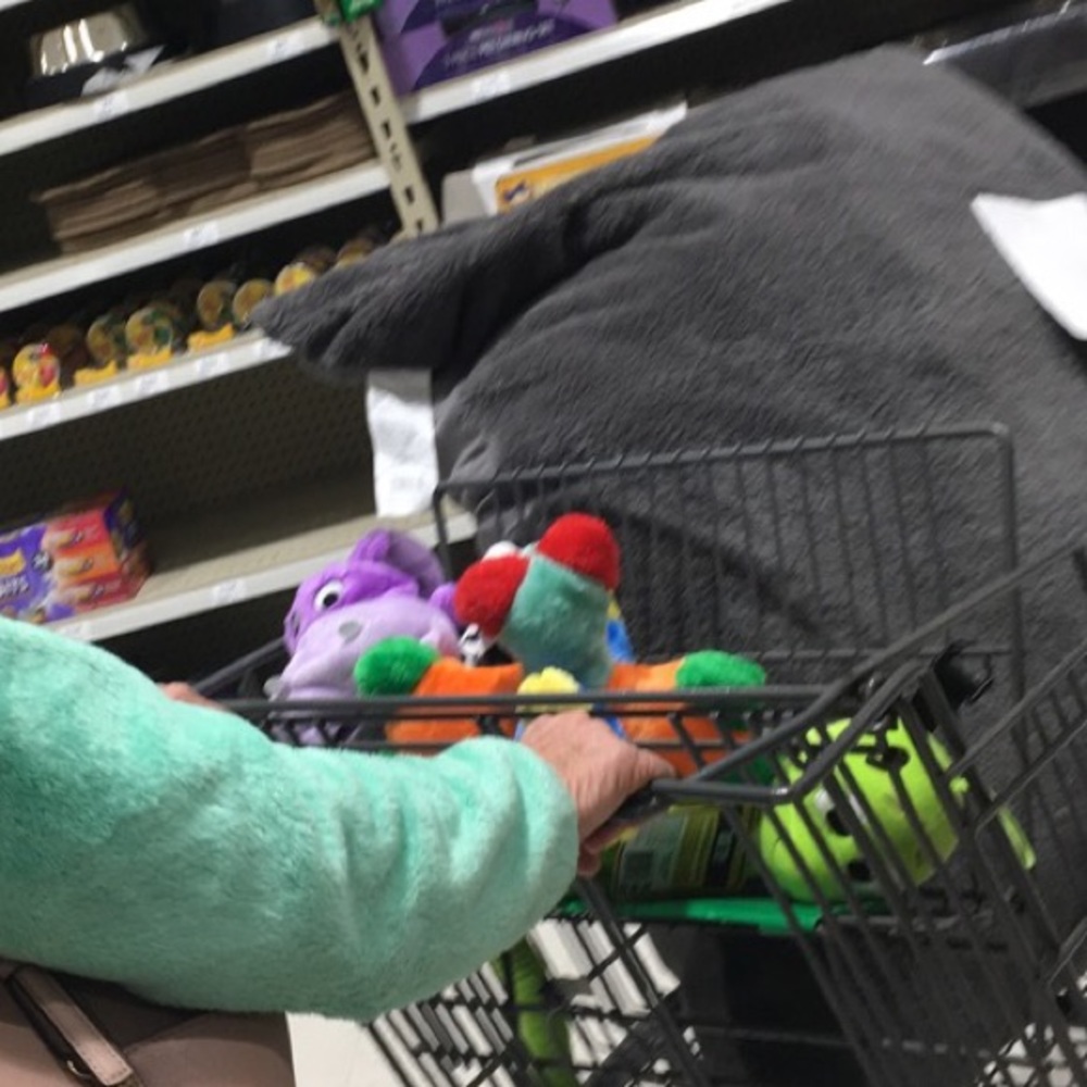 Meet your Posher, Ste